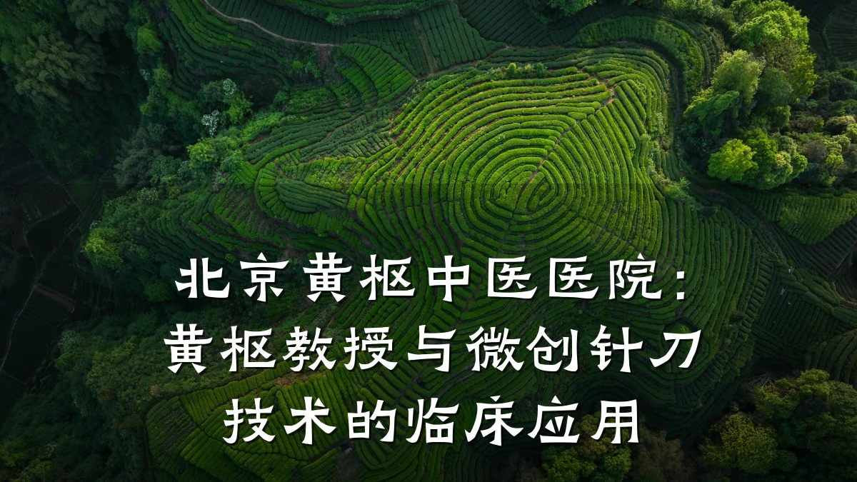 北京黄枢中医医院:黄枢教授与微创针刀技术的临床应用