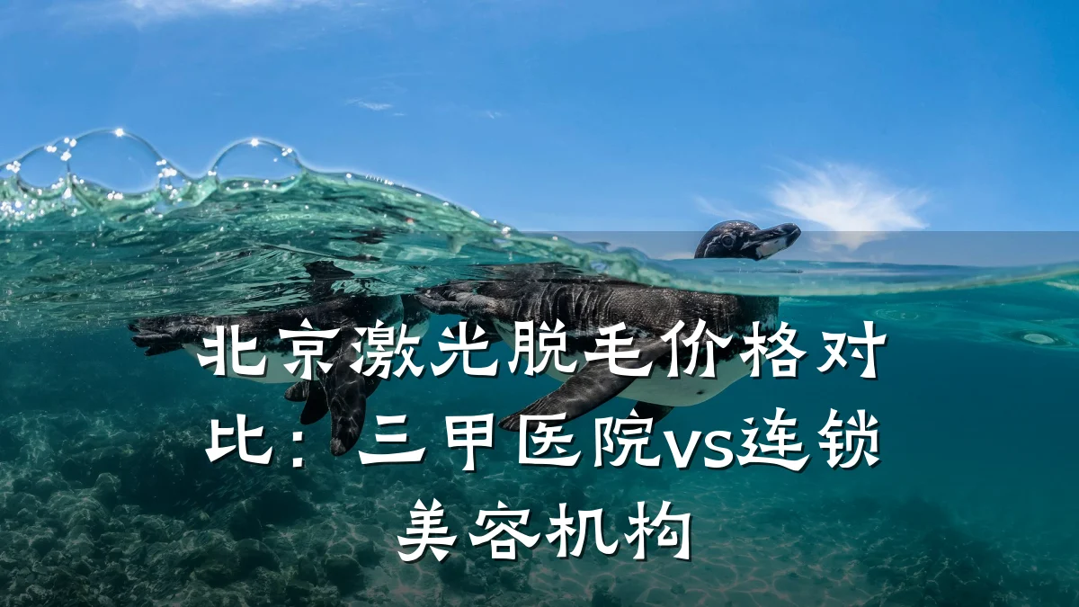 北京激光脱毛价格对比:三甲医院vs连锁美容机构
