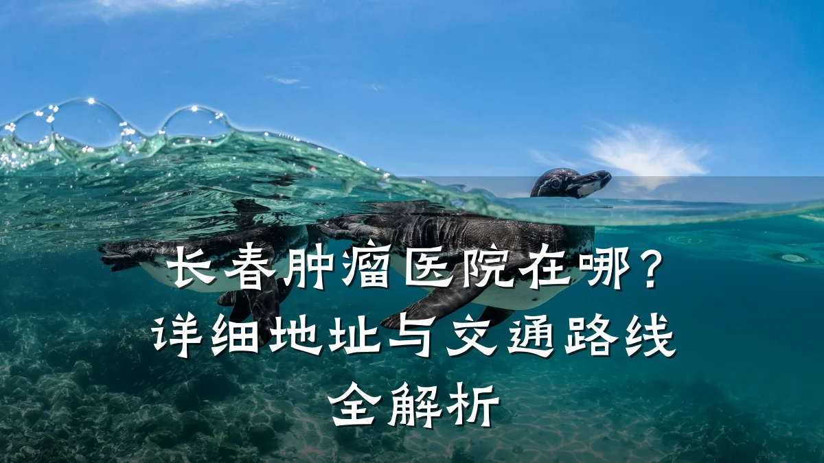长春肿瘤医院在哪？详细地址与交通路线全解析