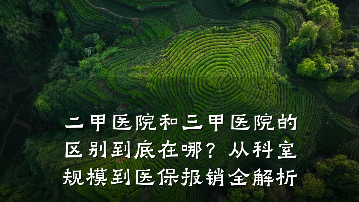 二甲医院和三甲医院的区别到底在哪？从科室规模到医保报销全解析