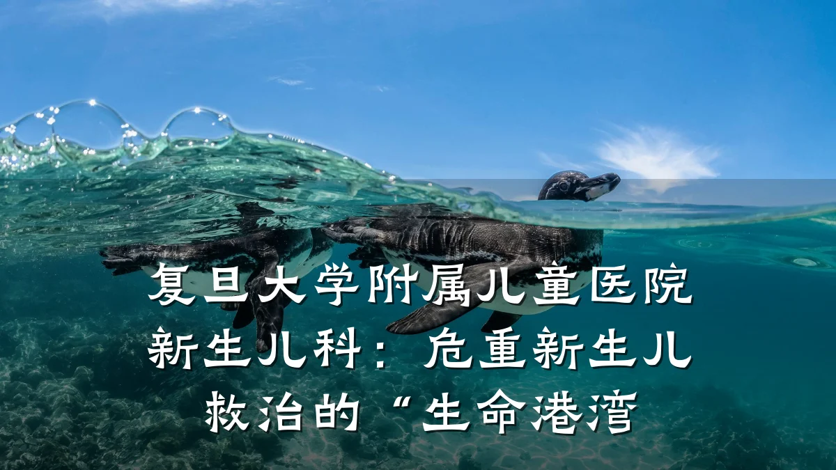 复旦大学附属儿童医院新生儿科：危重新生儿救治的“生命港湾