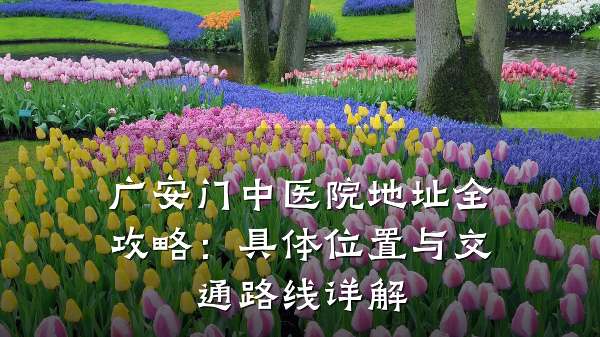 广安门中医院地址全攻略:具体位置与交通路线详解