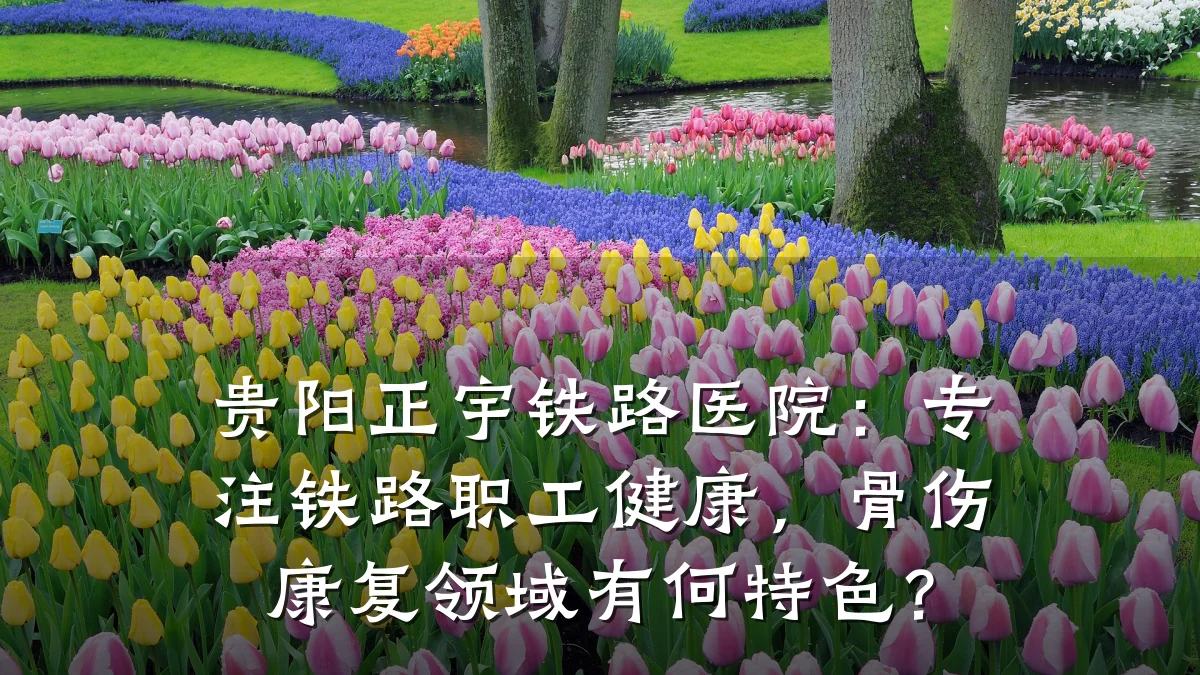 贵阳正宇铁路医院:专注铁路职工健康,骨伤康复领域有何特色?