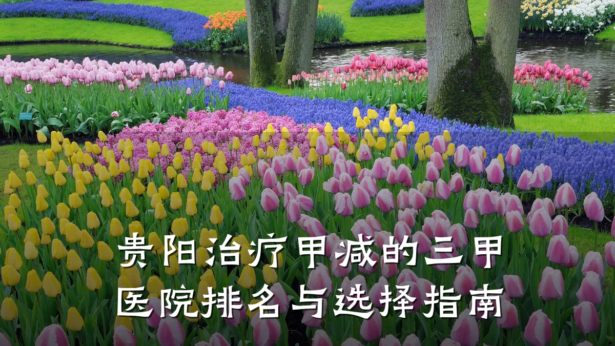 贵阳治疗甲减的三甲医院排名与选择指南