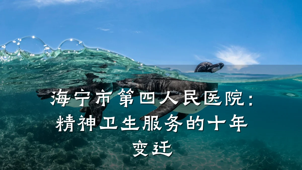 海宁市第四人民医院:精神卫生服务的十年变迁