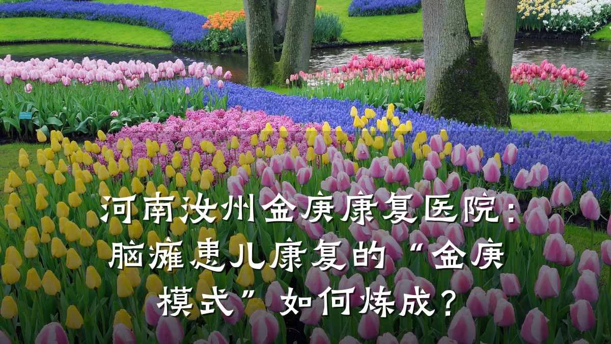 河南汝州金庚康复医院：脑瘫患儿康复的“金庚模式”如何炼成？