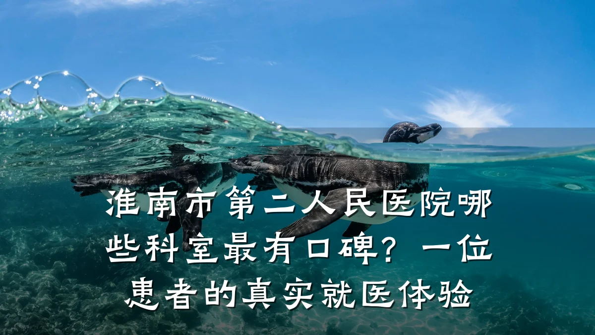 淮南市第二人民医院哪些科室最有口碑?一位患者的真实就医体验