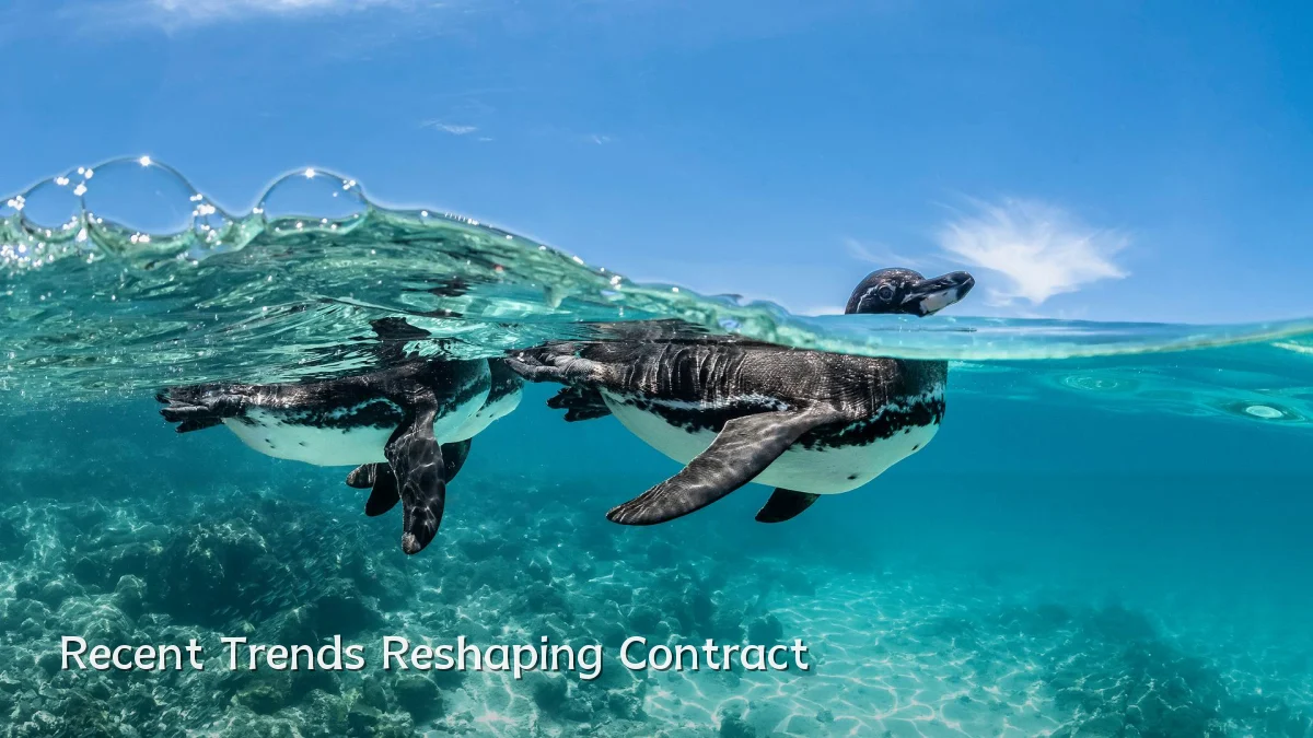 Recent Trends Reshaping Contract