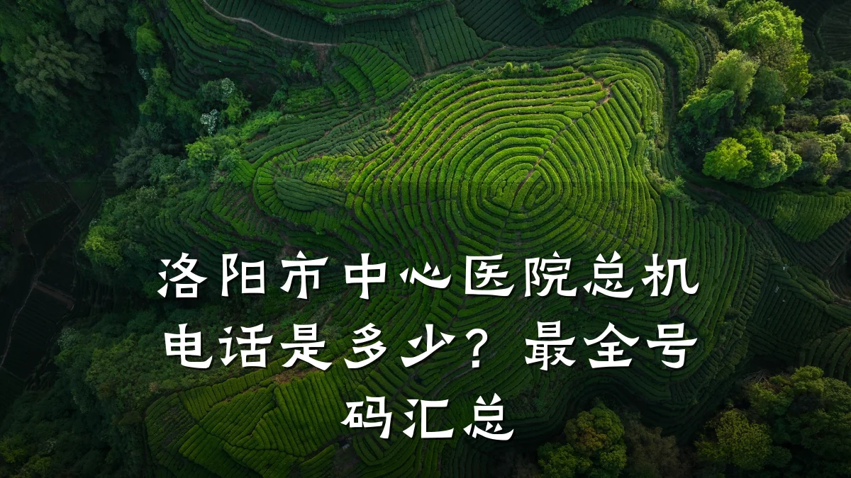 洛阳市中心医院总机电话是多少？最全号码汇总