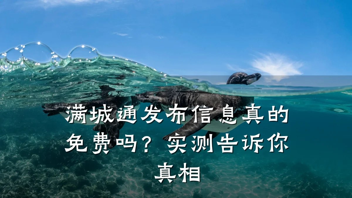 满城通发布信息真的免费吗?实测告诉你真相