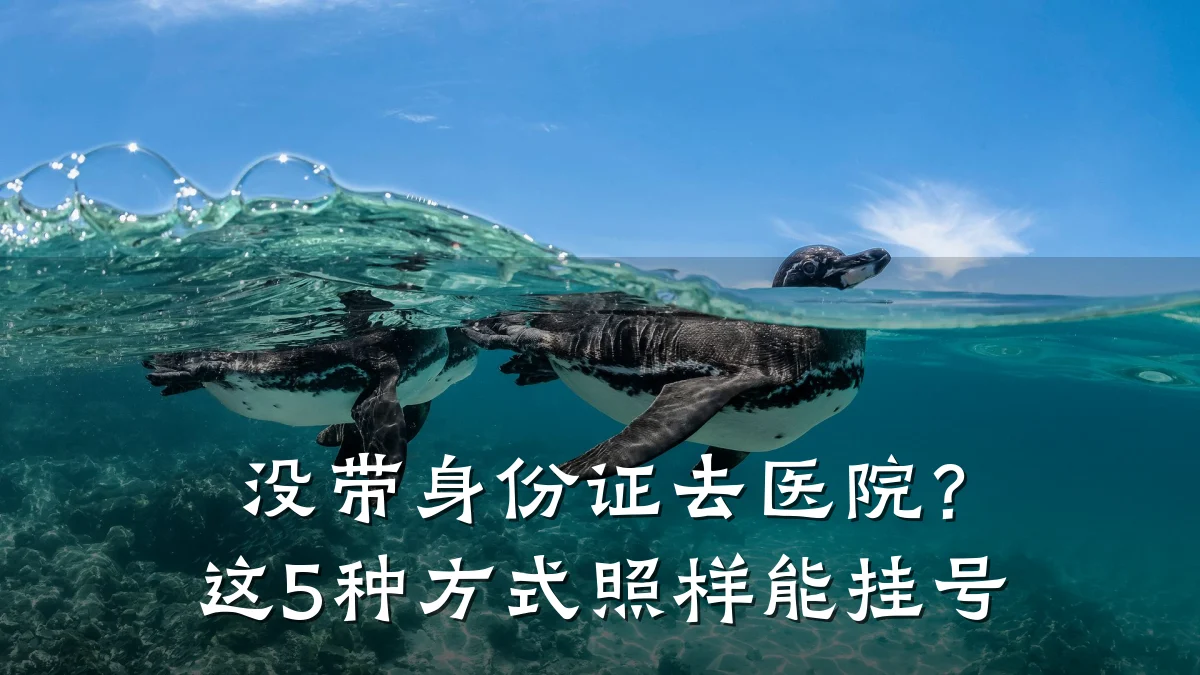 没带身份证去医院？这5种方式照样能挂号