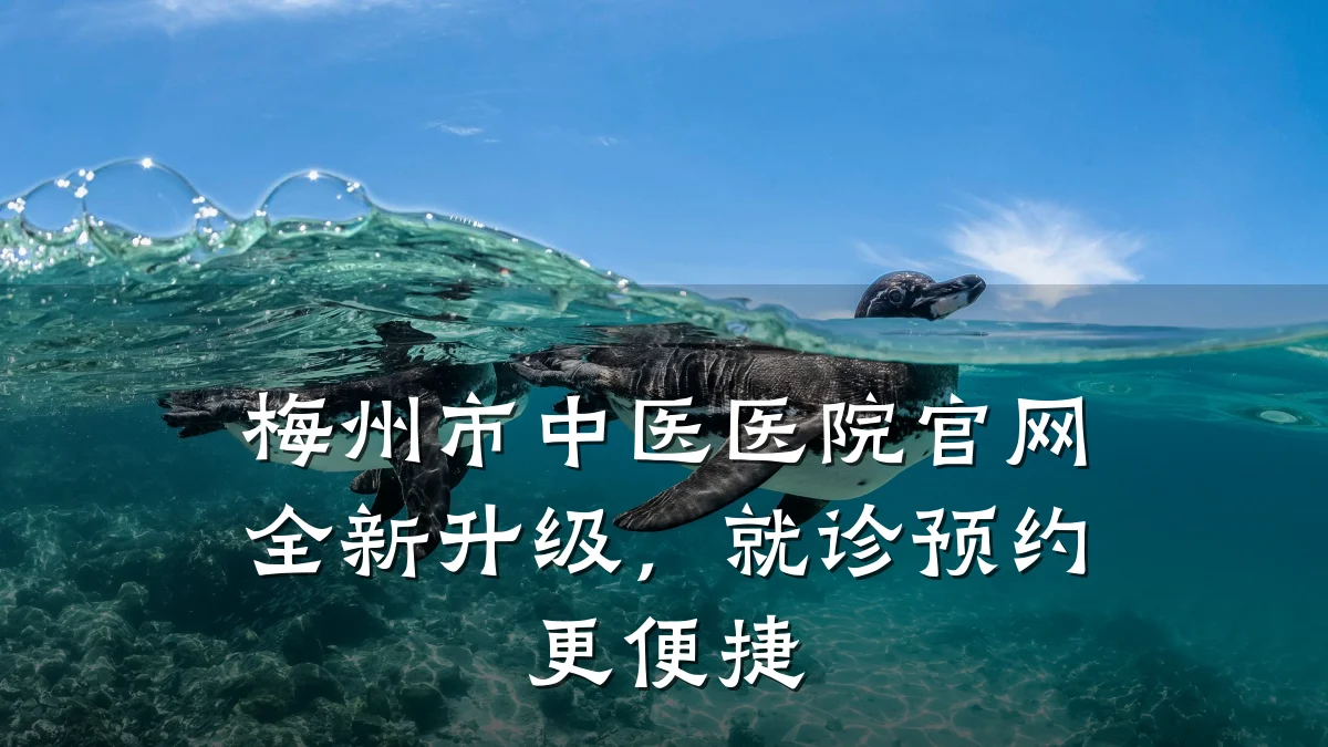 梅州市中医医院官网全新升级,就诊预约更便捷