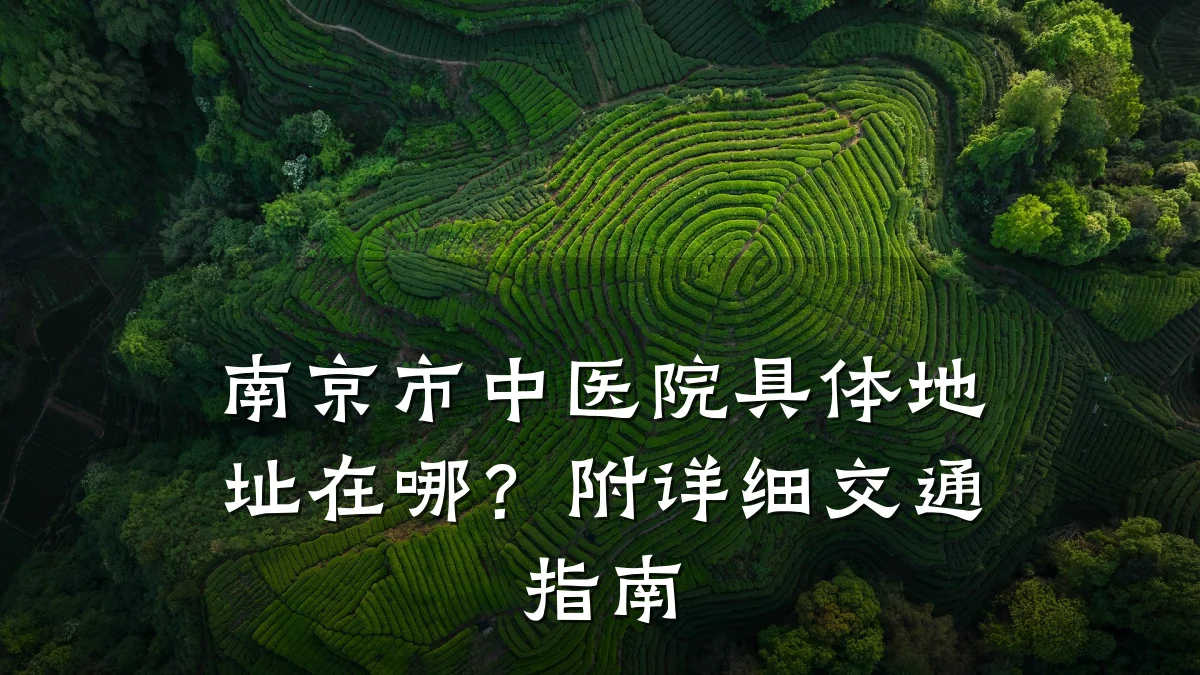 南京市中医院具体地址在哪？附详细交通指南
