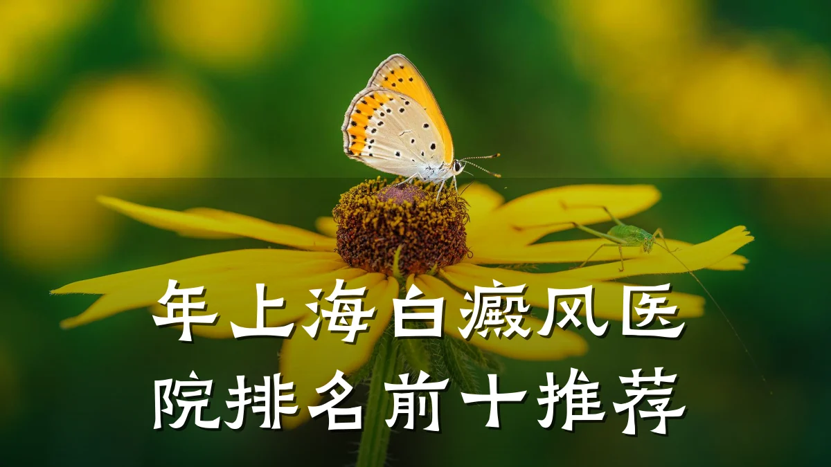 年上海白癜风医院排名前十推荐