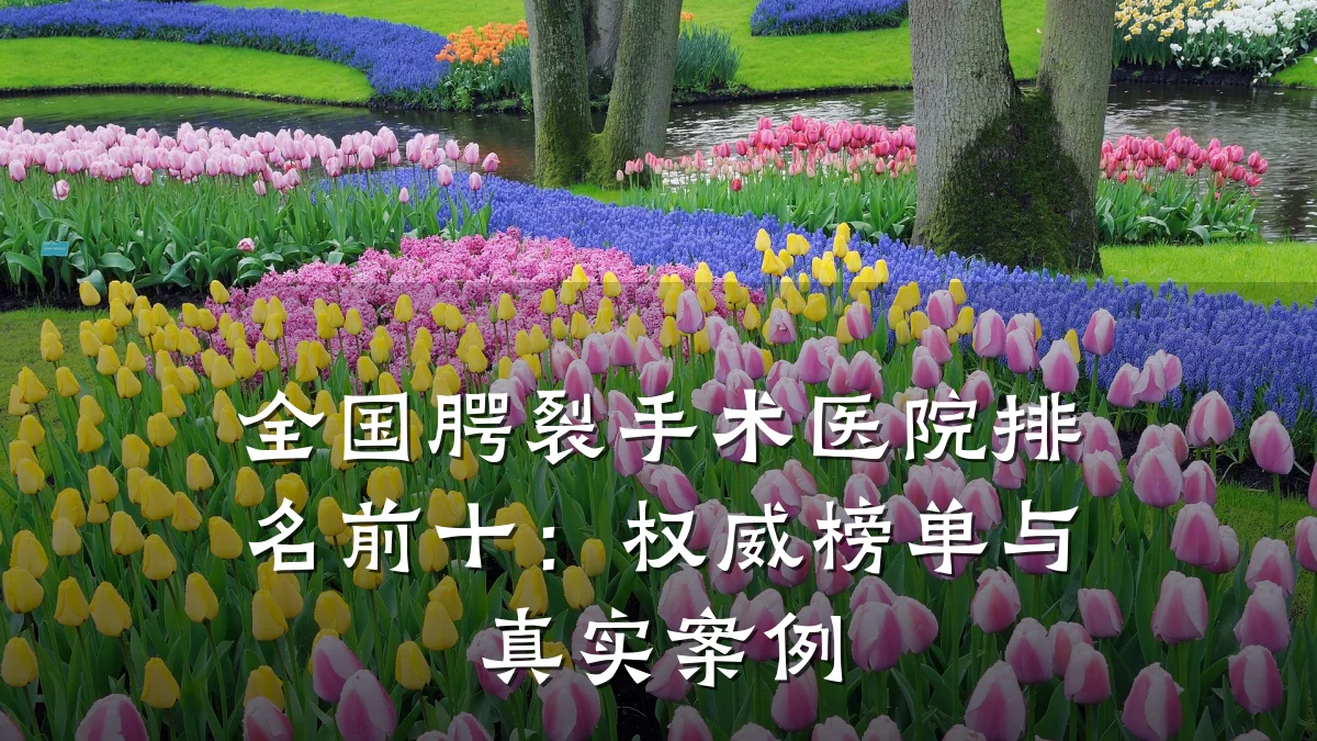 全国腭裂手术医院排名前十:权威榜单与真实案例