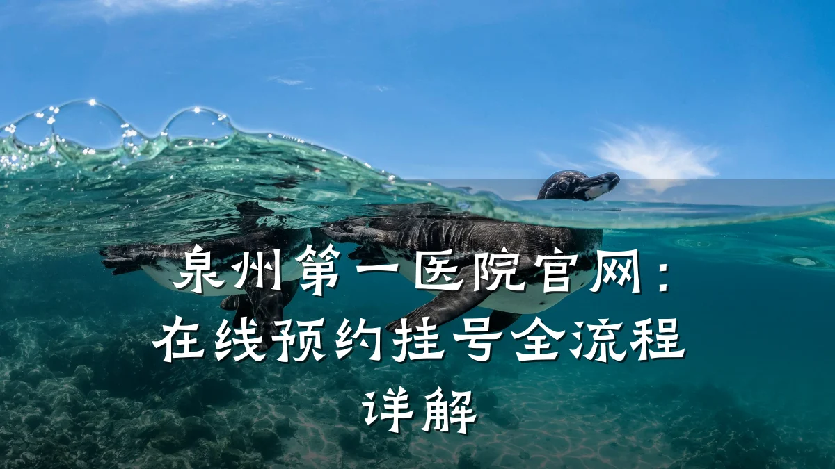 泉州第一医院官网:在线预约挂号全流程详解