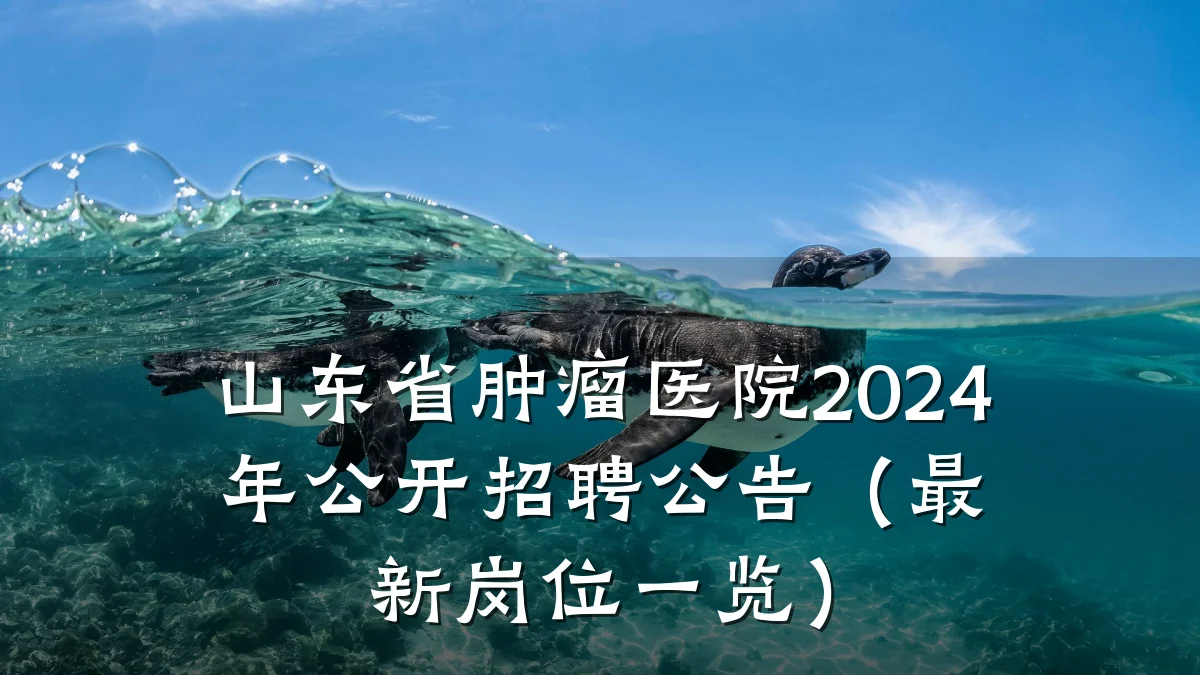 山东省肿瘤医院2024年公开招聘公告(最新岗位一览)