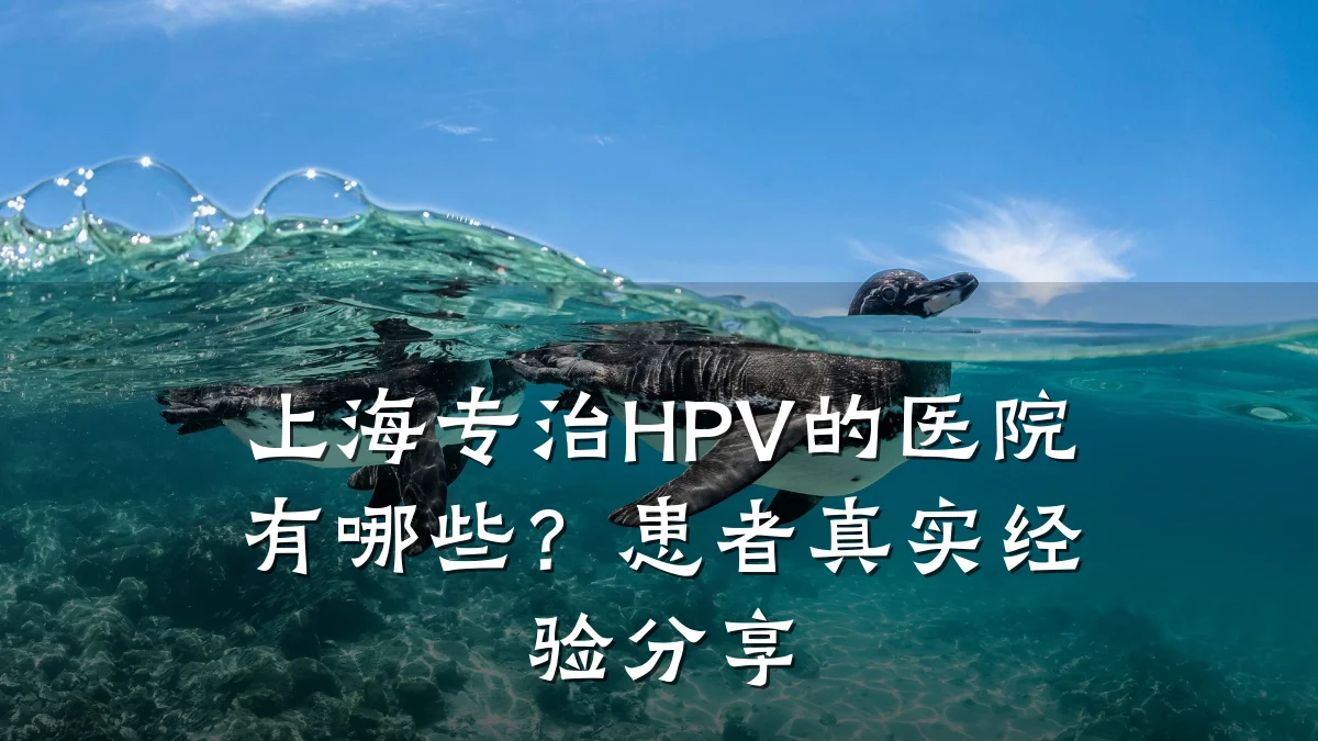 上海专治HPV的医院有哪些？患者真实经验分享