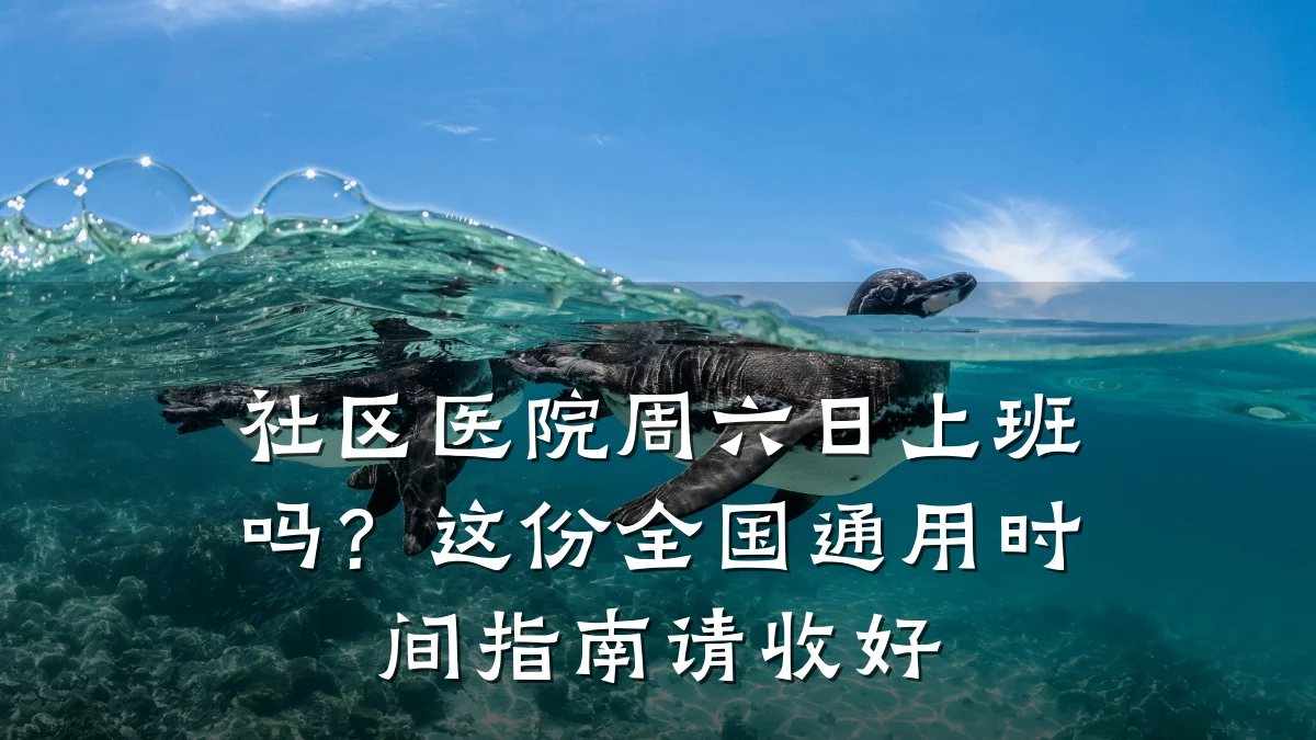 社区医院周六日上班吗?这份全国通用时间指南请收好