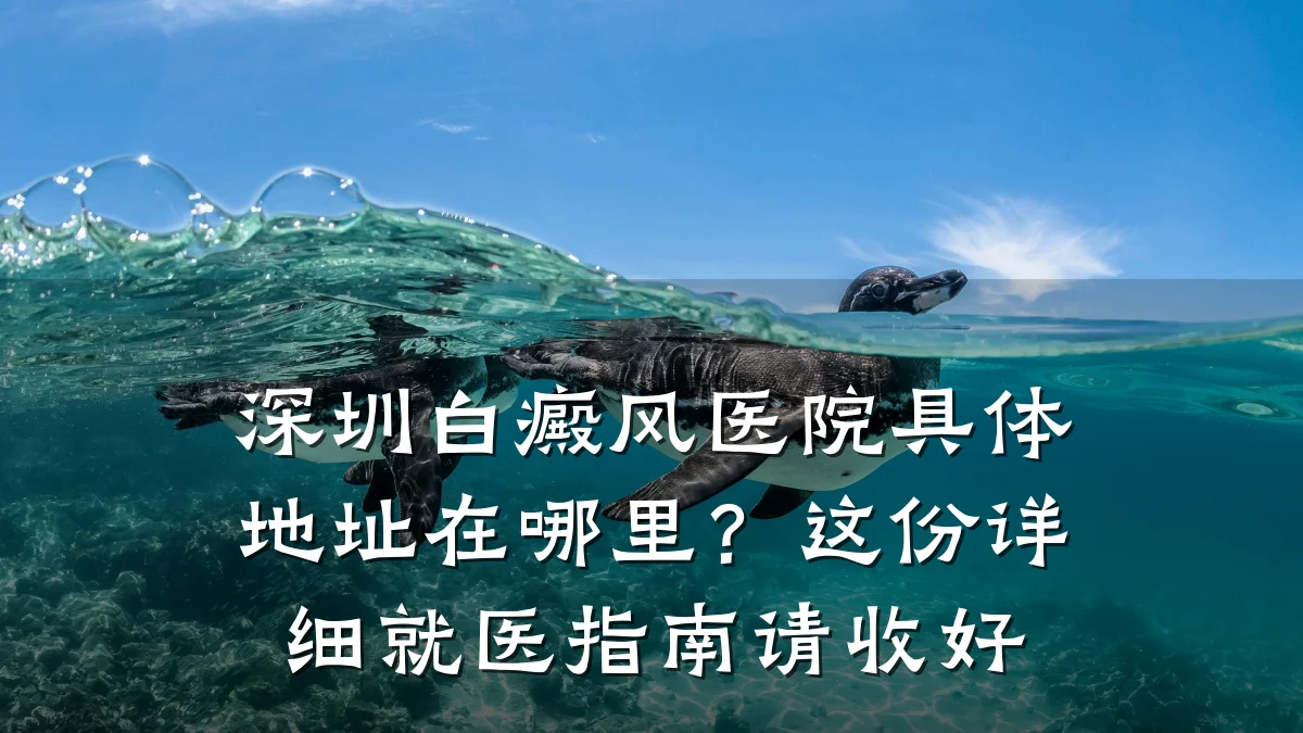 深圳白癜风医院具体地址在哪里?这份详细就医指南请收好