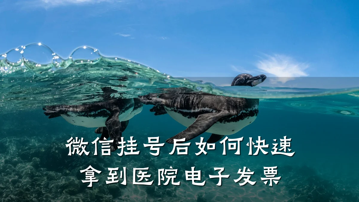 微信挂号后如何快速拿到医院电子发票