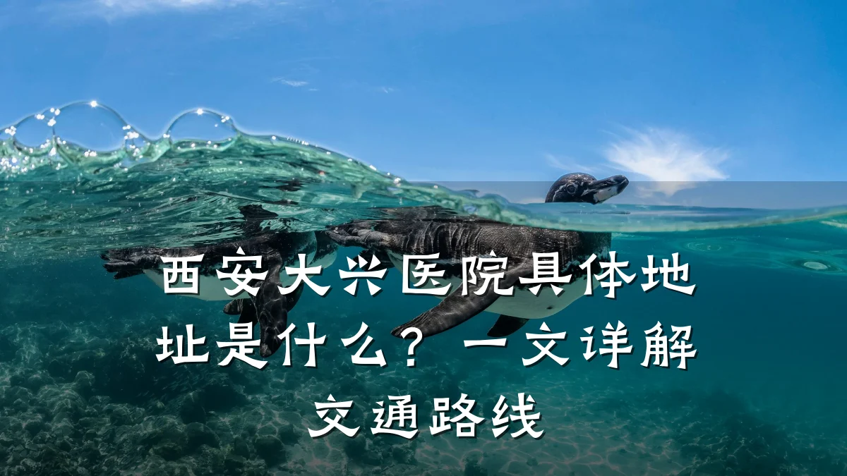 西安大兴医院具体地址是什么?一文详解交通路线