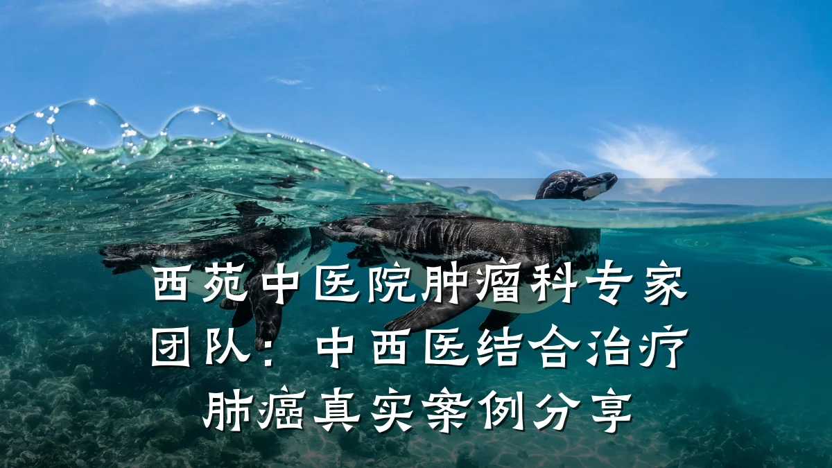 西苑中医院肿瘤科专家团队:中西医结合治疗肺癌真实案例分享