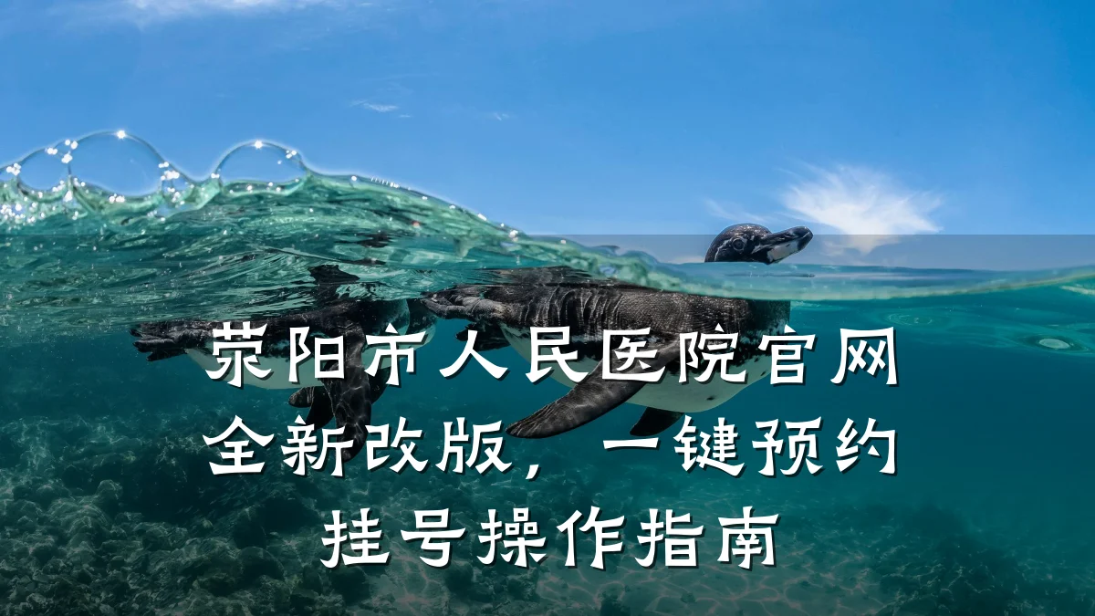 荥阳市人民医院官网全新改版,一键预约挂号操作指南