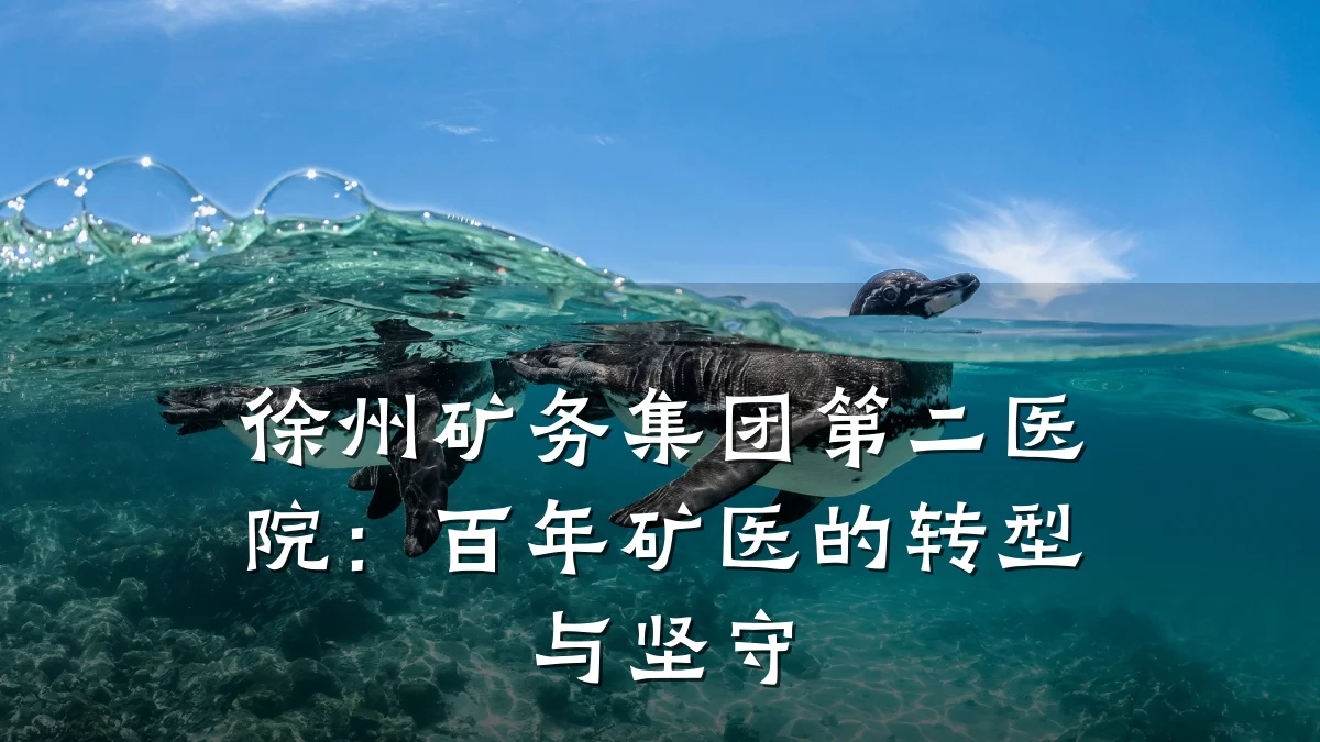 徐州矿务集团第二医院：百年矿医的转型与坚守
