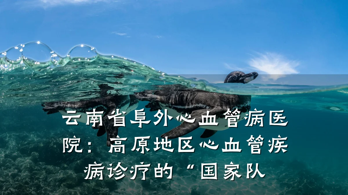 云南省阜外心血管病医院：高原地区心血管疾病诊疗的“国家队