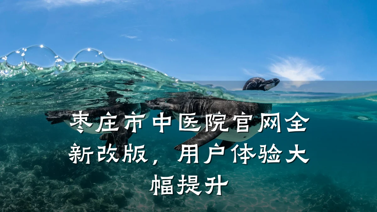 枣庄市中医院官网全新改版,用户体验大幅提升
