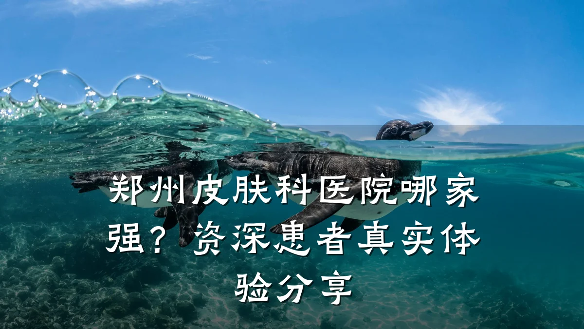 郑州皮肤科医院哪家强?资深患者真实体验分享