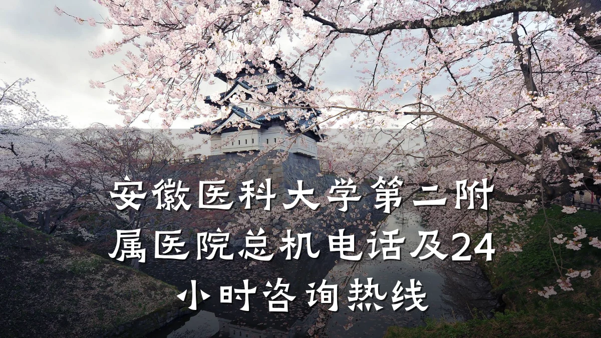 安徽医科大学第二附属医院总机电话及24小时咨询热线