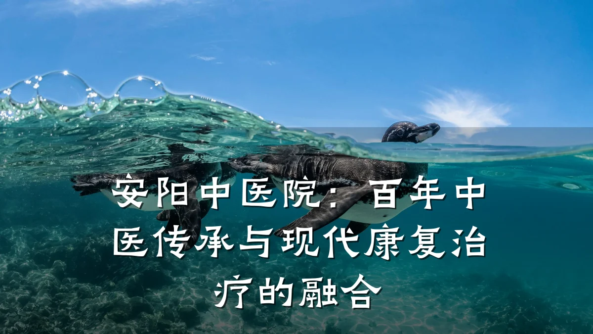 安阳中医院:百年中医传承与现代康复治疗的融合