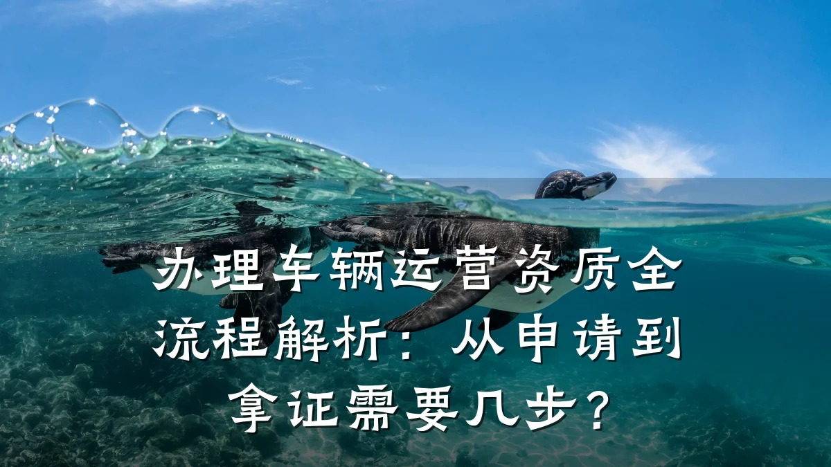 办理车辆运营资质全流程解析:从申请到拿证需要几步?