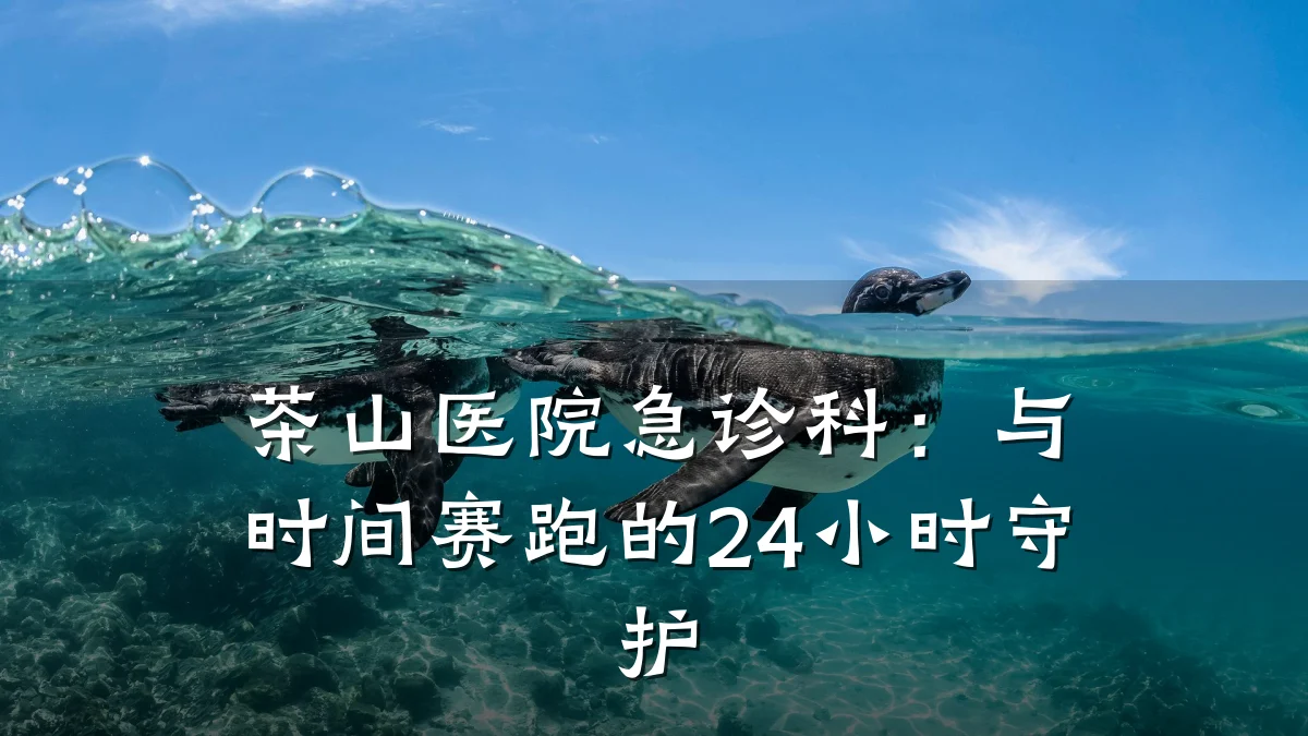 茶山医院急诊科:与时间赛跑的24小时守护