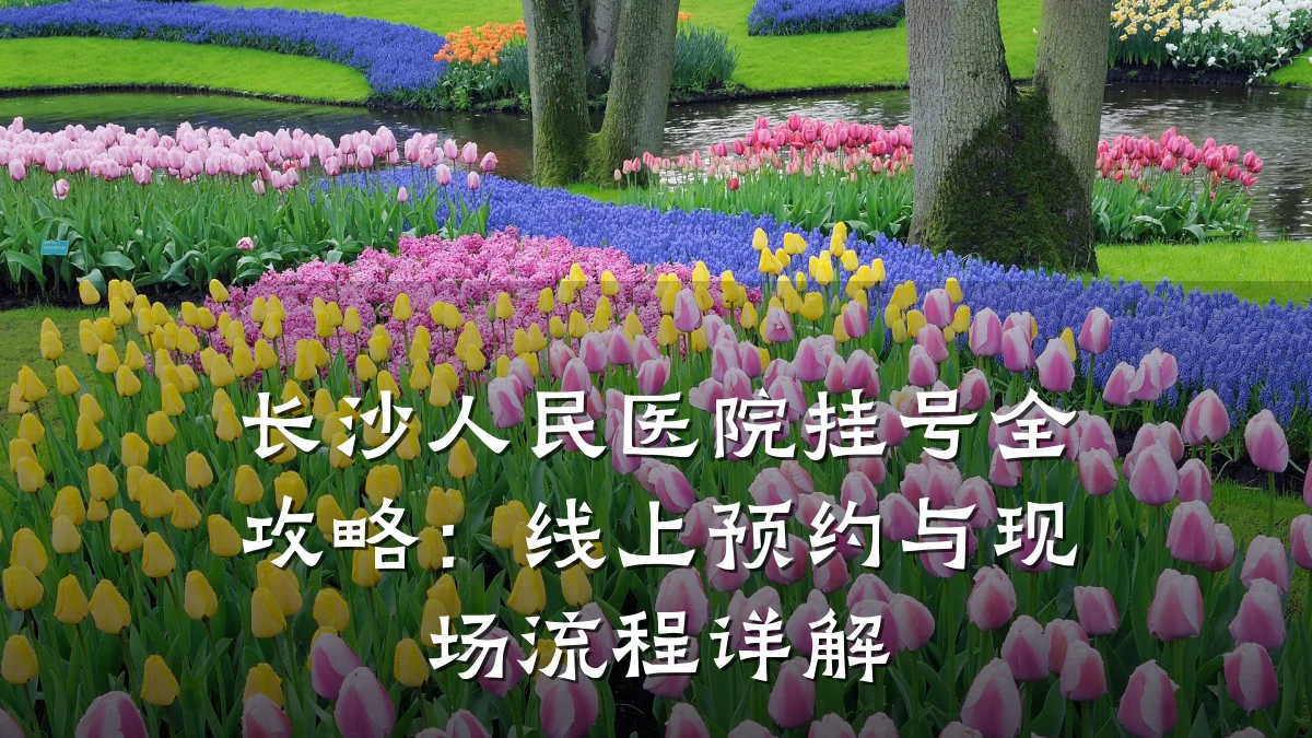 长沙人民医院挂号全攻略:线上预约与现场流程详解