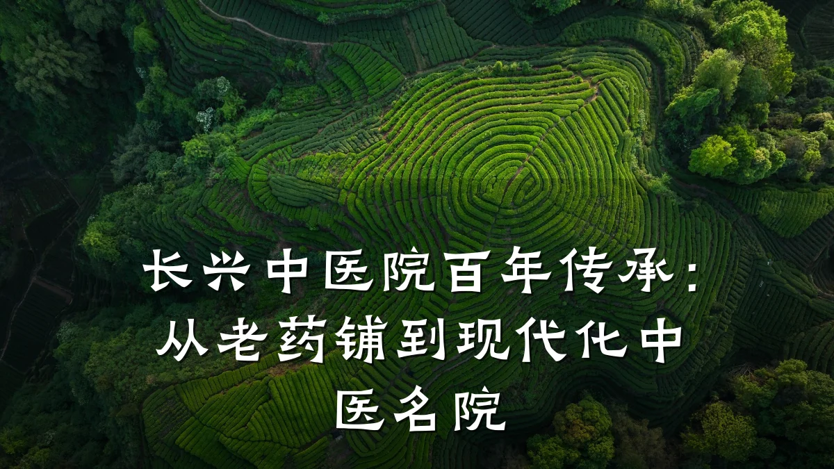 长兴中医院百年传承:从老药铺到现代化中医名院