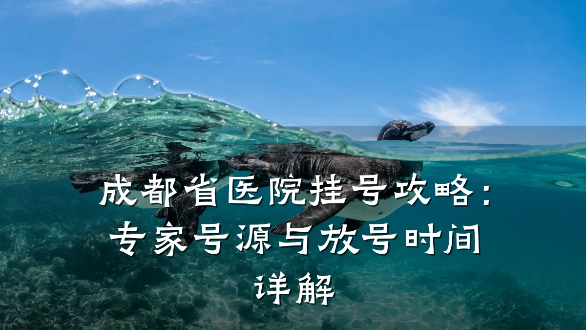 成都省医院挂号攻略:专家号源与放号时间详解
