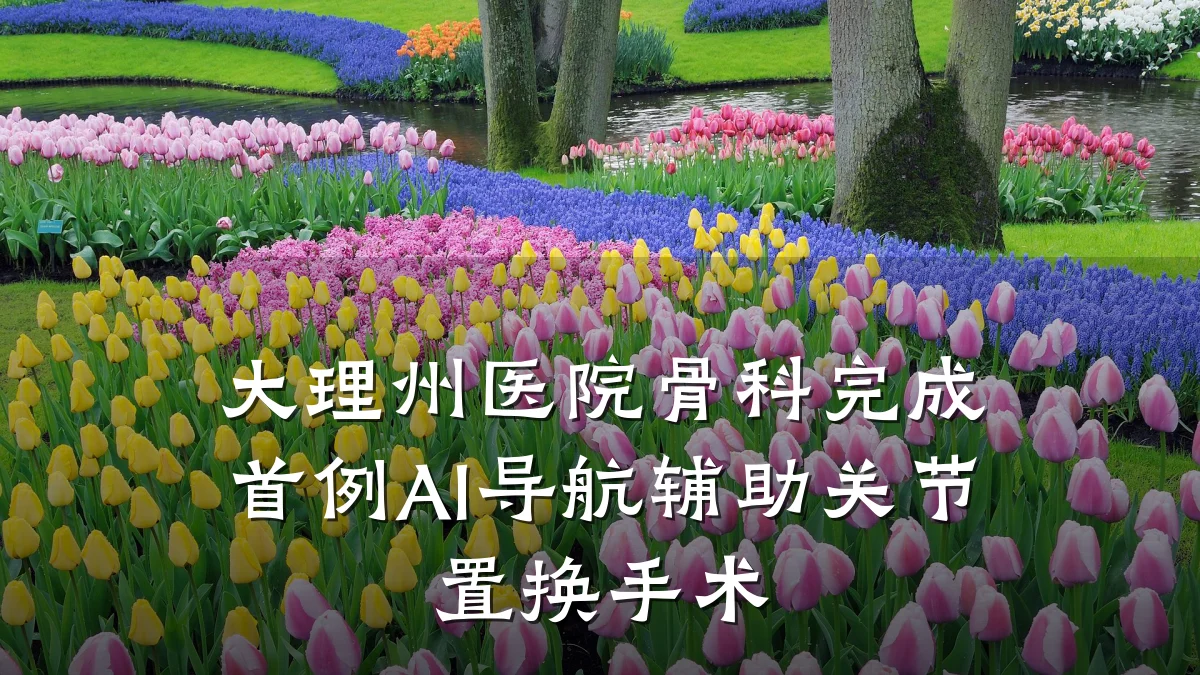 大理州医院骨科完成首例AI导航辅助关节置换手术