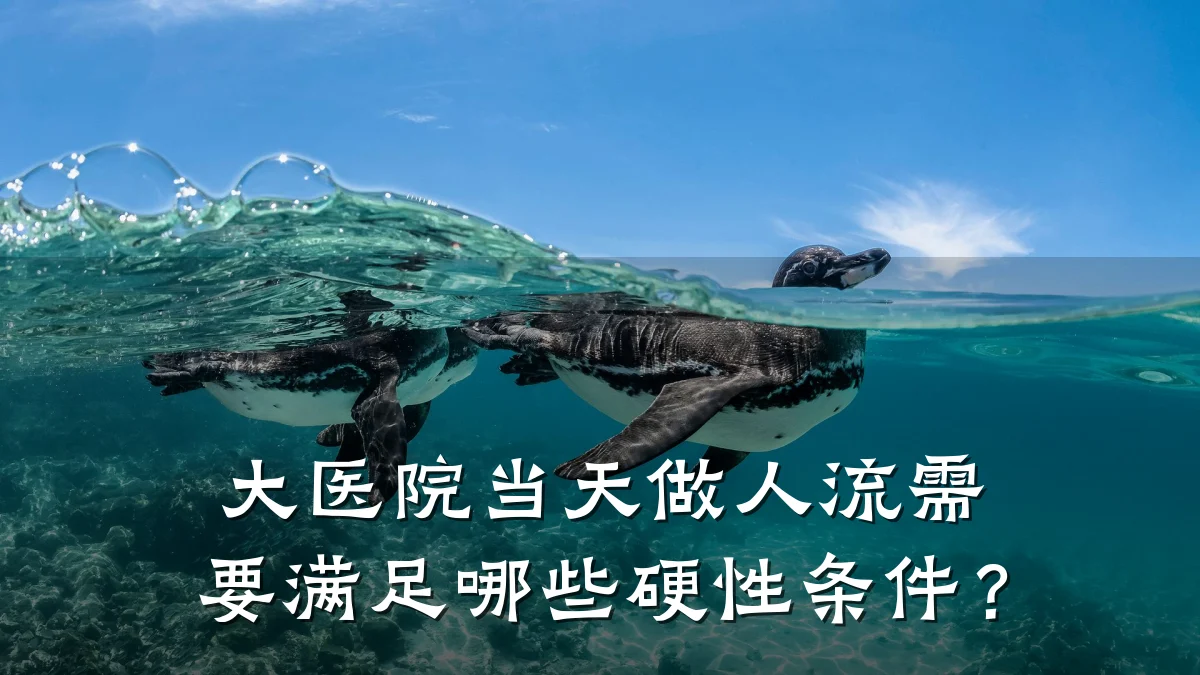 大医院当天做人流需要满足哪些硬性条件?
