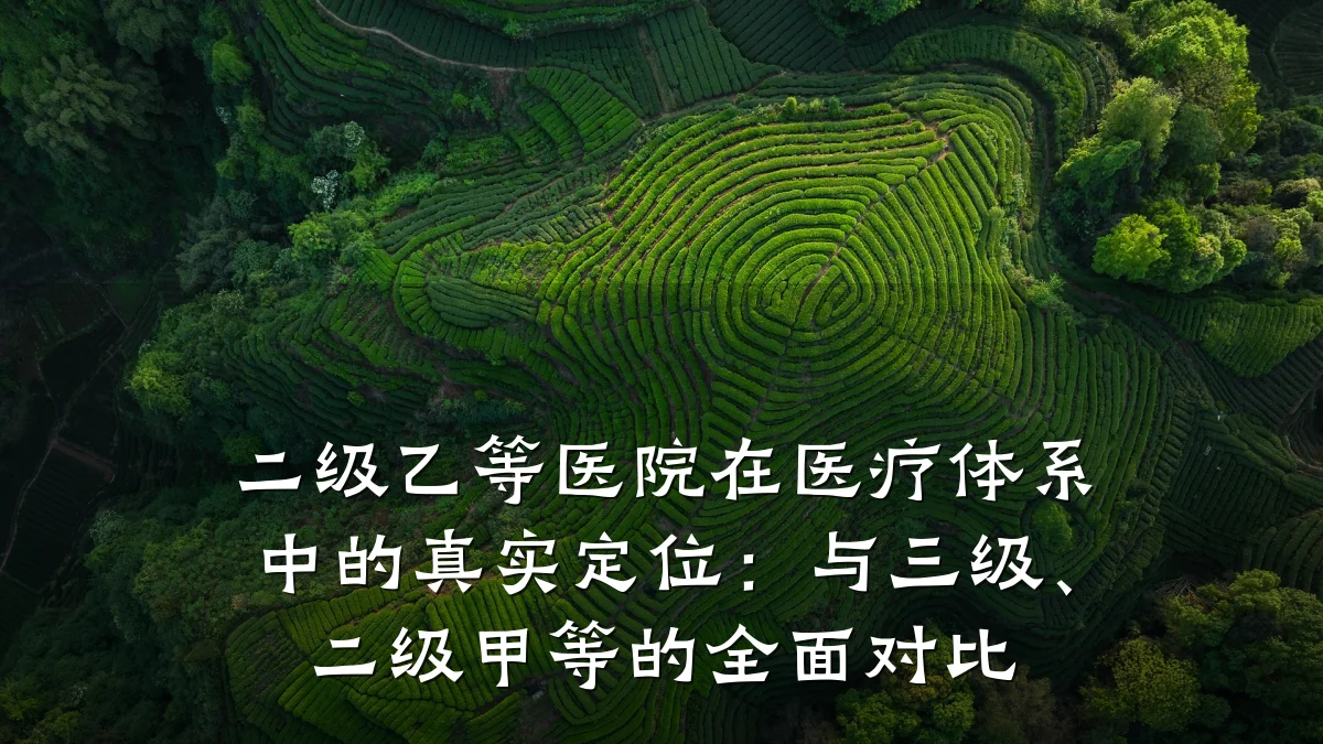 二级乙等医院在医疗体系中的真实定位:与三级、二级甲等的全面对比