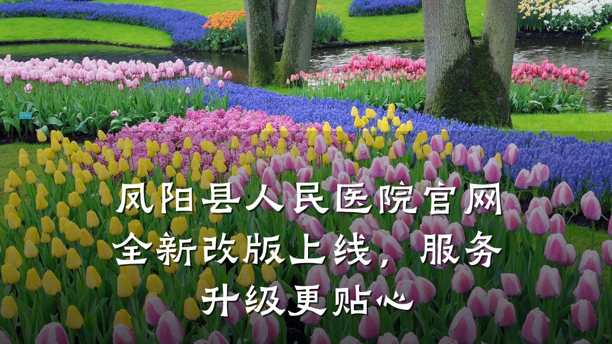 凤阳县人民医院官网全新改版上线,服务升级更贴心
