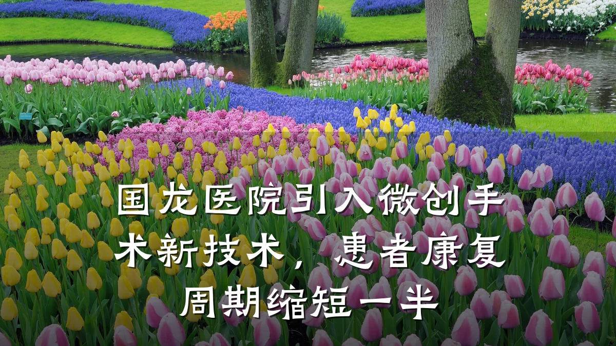 国龙医院引入微创手术新技术,患者康复周期缩短一半