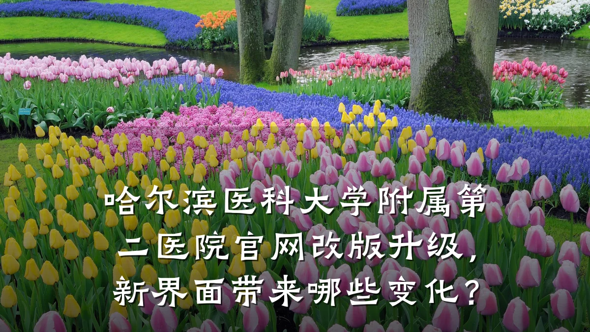 哈尔滨医科大学附属第二医院官网改版升级,新界面带来哪些变化?