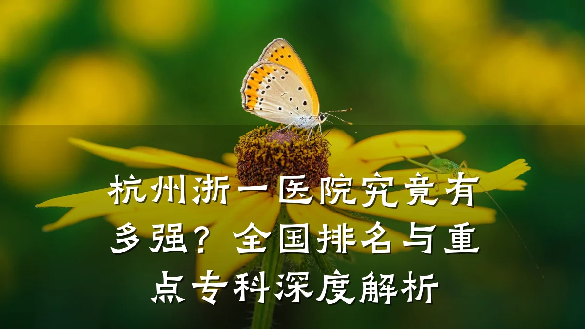杭州浙一医院究竟有多强?全国排名与重点专科深度解析