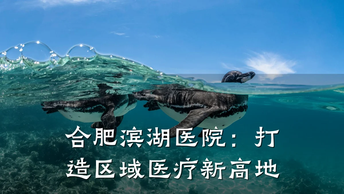 合肥滨湖医院:打造区域医疗新高地