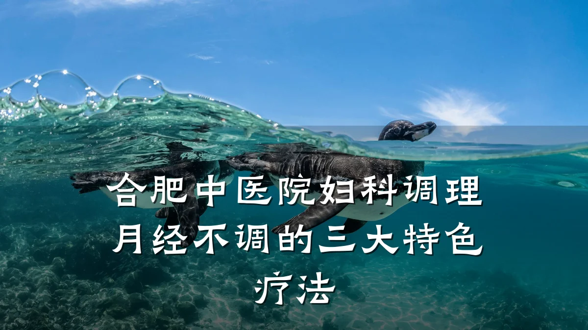 合肥中医院妇科调理月经不调的三大特色疗法