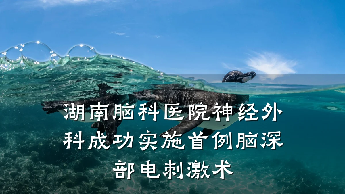 湖南脑科医院神经外科成功实施首例脑深部电刺激术