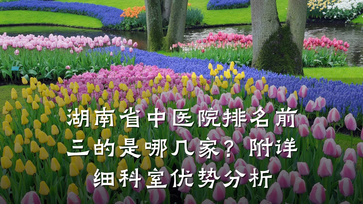 湖南省中医院排名前三的是哪几家?附详细科室优势分析